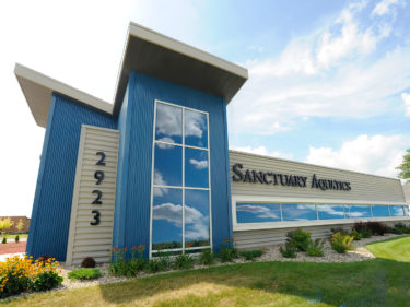 Sanctuary Aquatics Design Build Entry